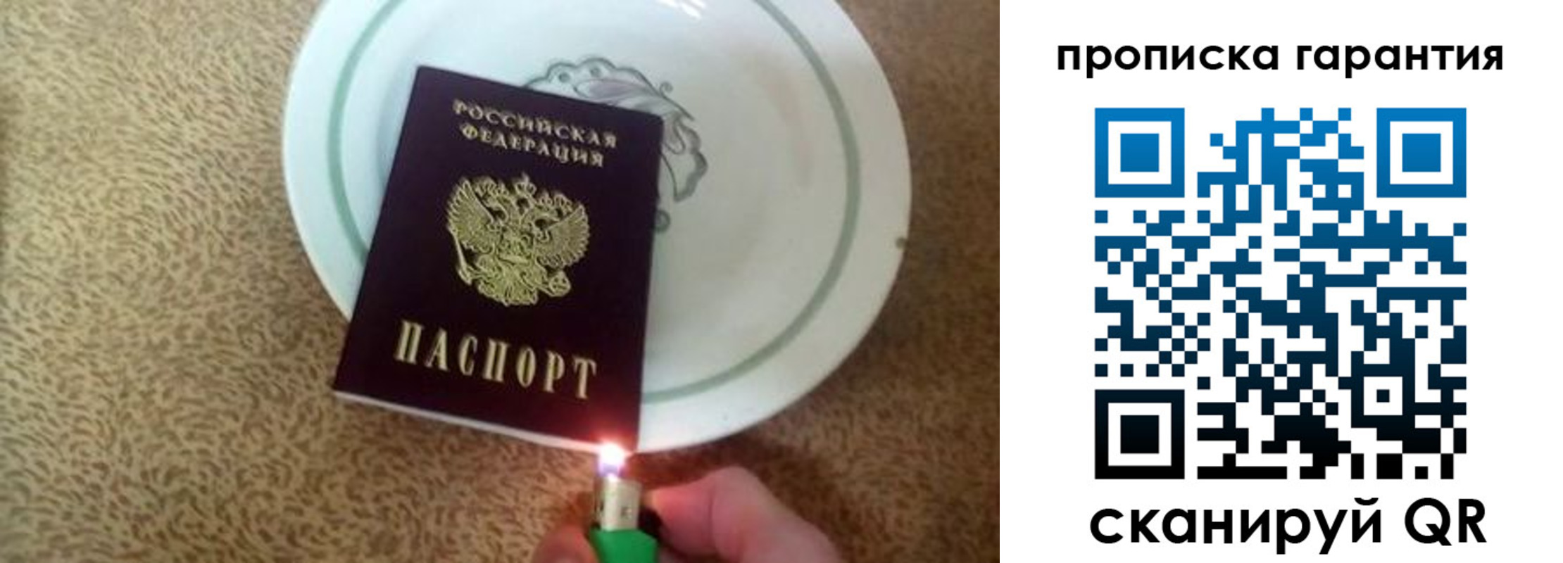 прописка гарантия в Первомайске